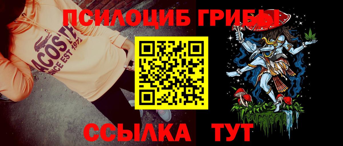 Галлюциногенные грибы Psilocybine cubensis  Вход с VPN  Кудрово  Галлюциногенные грибы MAGIC MUSHROOMS 